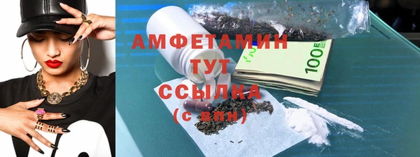 молекула духа Арсеньев