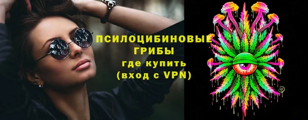 крисы Аркадак