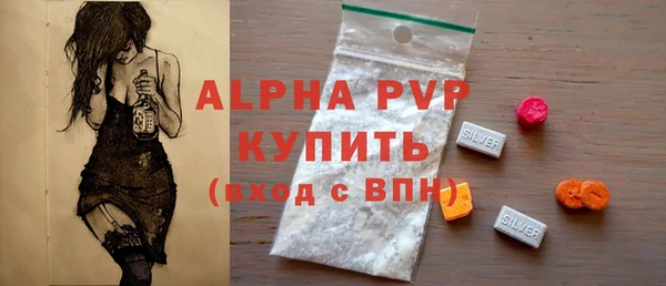 молекула духа Арсеньев