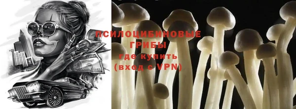 молекула духа Арсеньев