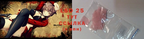 молекула духа Арсеньев