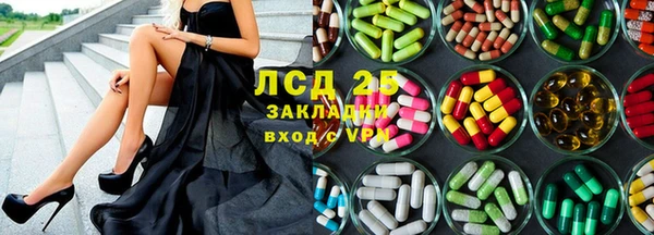 молекула духа Арсеньев