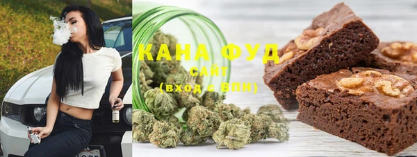 молекула духа Арсеньев