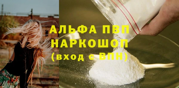 молекула духа Арсеньев