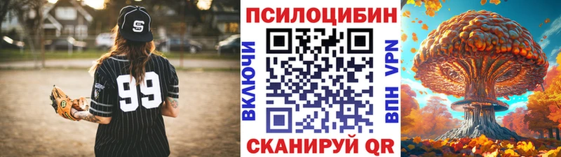 наркотики  Волгодонск  Галлюциногенные грибы Psilocybine cubensis 